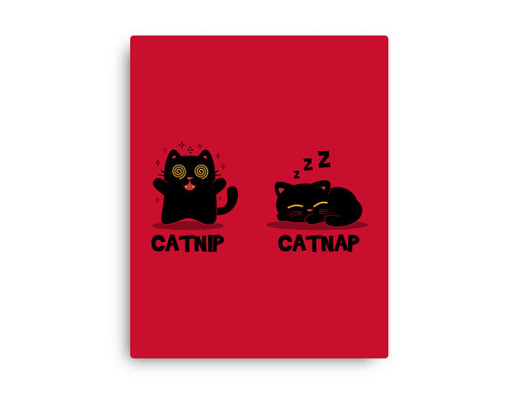 Catnip Catnap