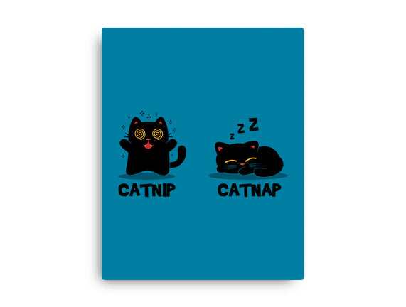 Catnip Catnap