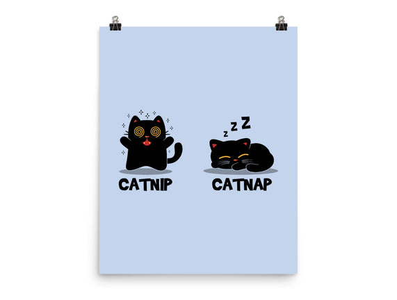 Catnip Catnap