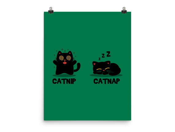 Catnip Catnap