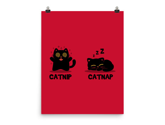 Catnip Catnap