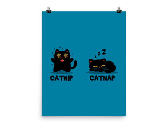 Catnip Catnap