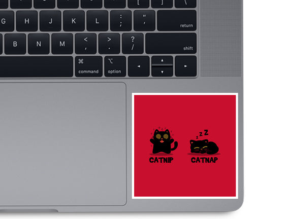 Catnip Catnap