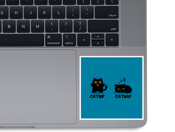 Catnip Catnap