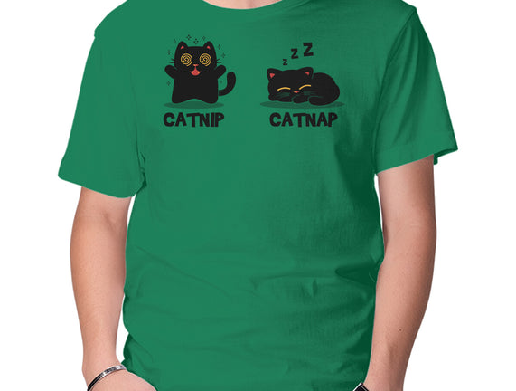 Catnip Catnap