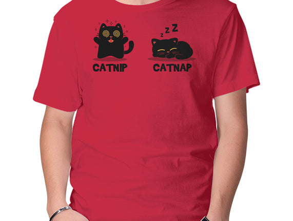 Catnip Catnap