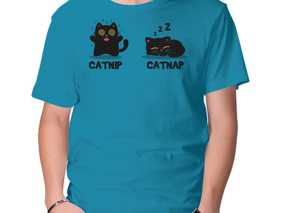 Catnip Catnap