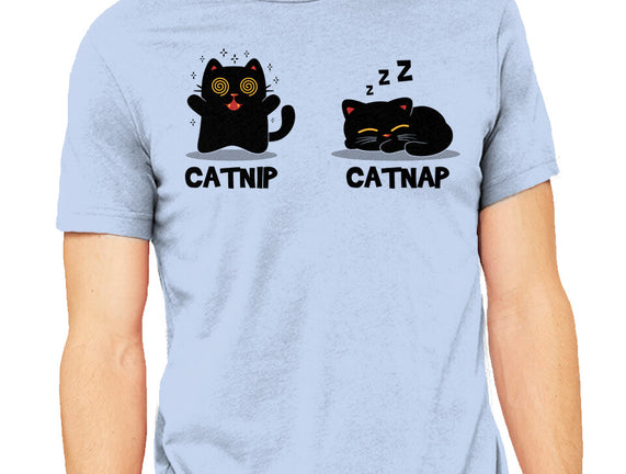 Catnip Catnap
