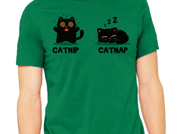 Catnip Catnap