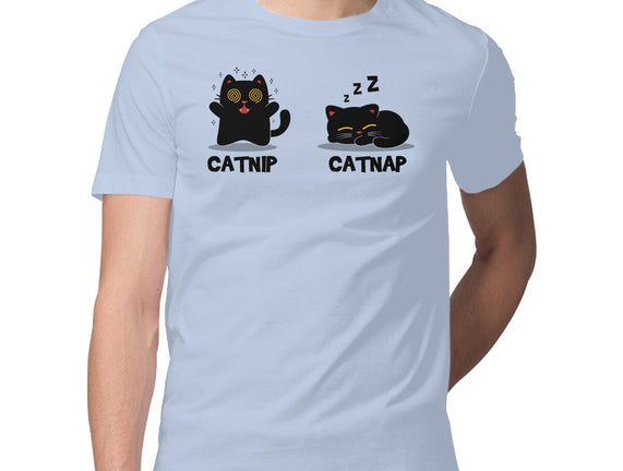 Catnip Catnap