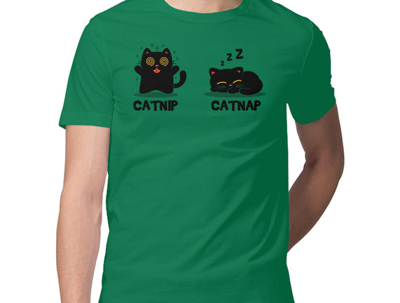 Catnip Catnap