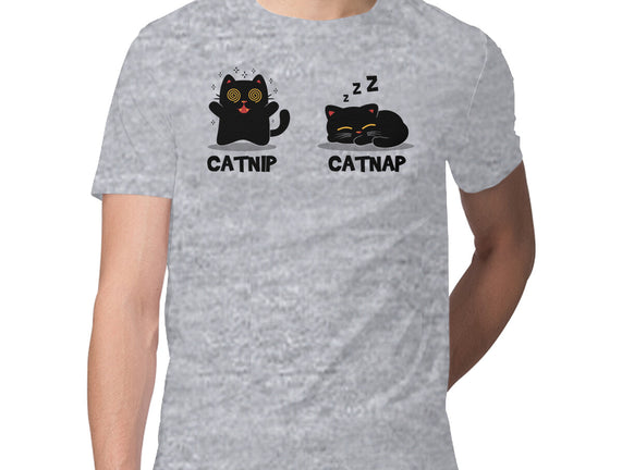 Catnip Catnap