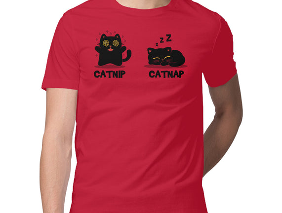 Catnip Catnap
