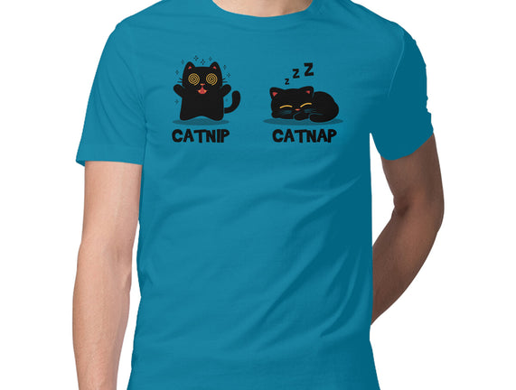 Catnip Catnap
