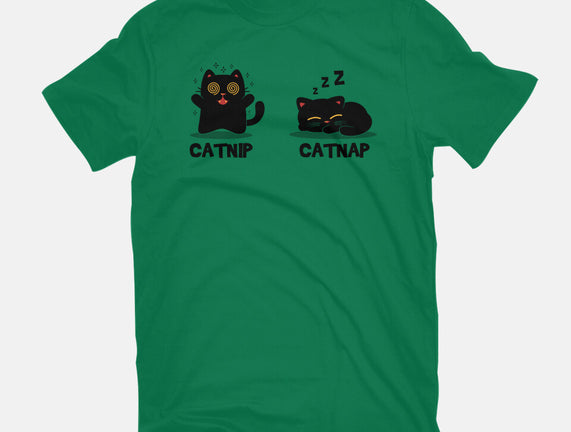 Catnip Catnap