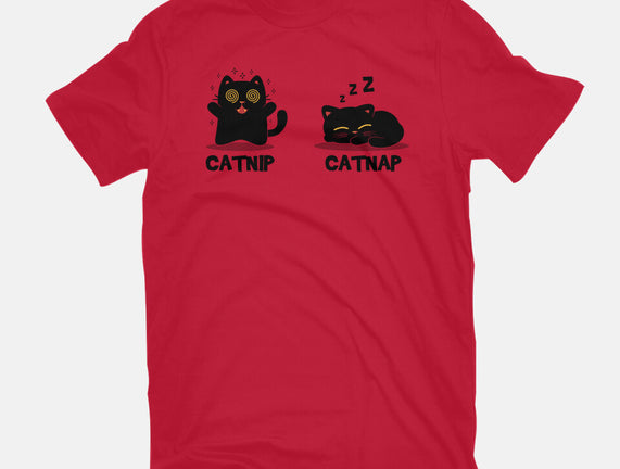 Catnip Catnap
