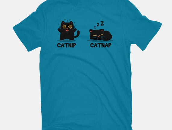 Catnip Catnap