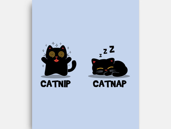 Catnip Catnap