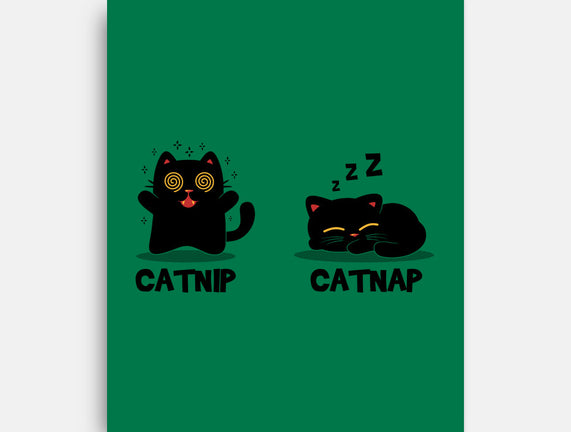 Catnip Catnap