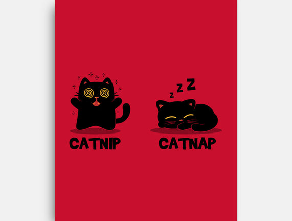 Catnip Catnap