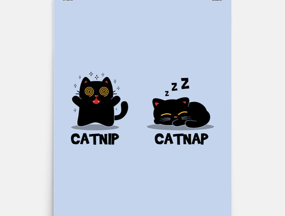 Catnip Catnap