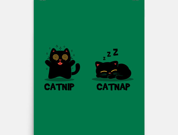 Catnip Catnap