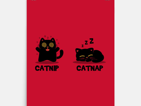 Catnip Catnap