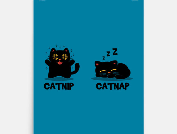 Catnip Catnap