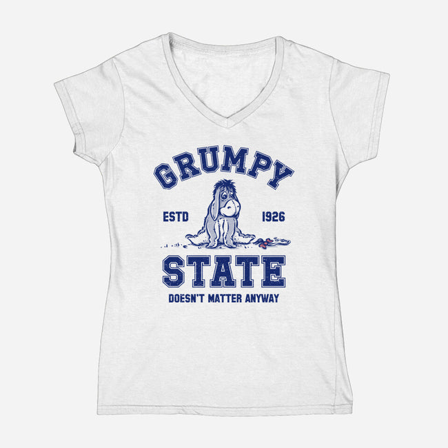 Grumpy State-Womens-V-Neck-Tee-kg07