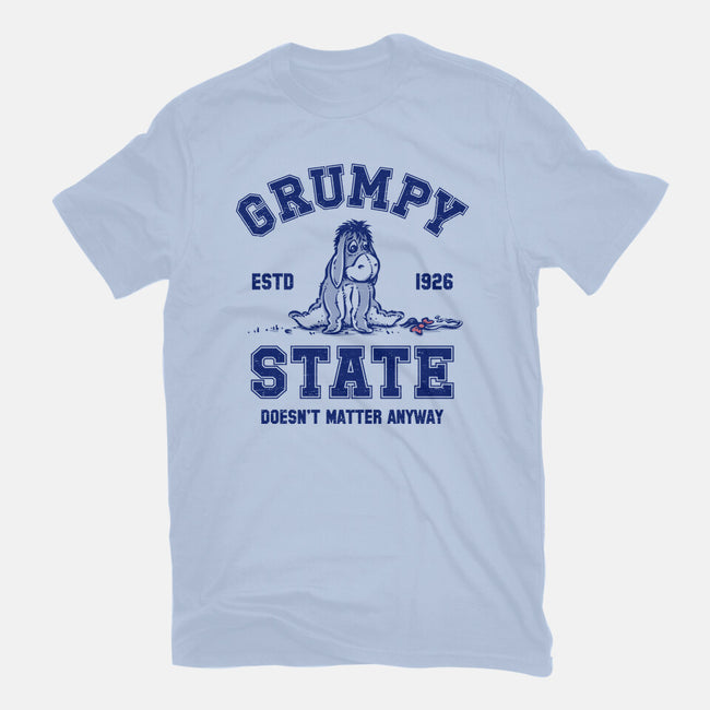 Grumpy State-Mens-Premium-Tee-kg07