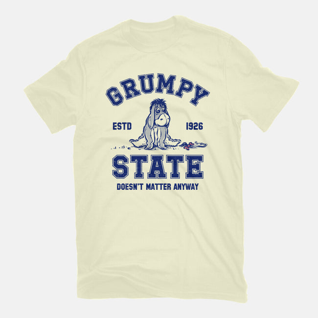 Grumpy State-Mens-Basic-Tee-kg07