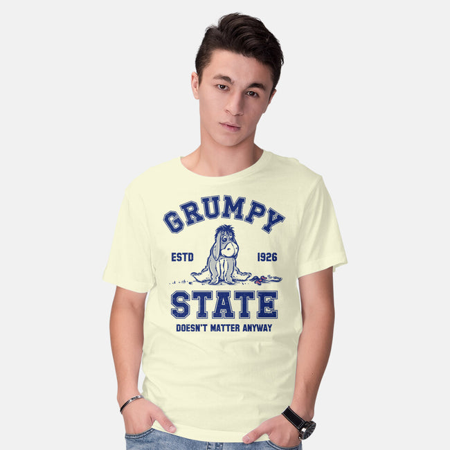 Grumpy State-Mens-Basic-Tee-kg07