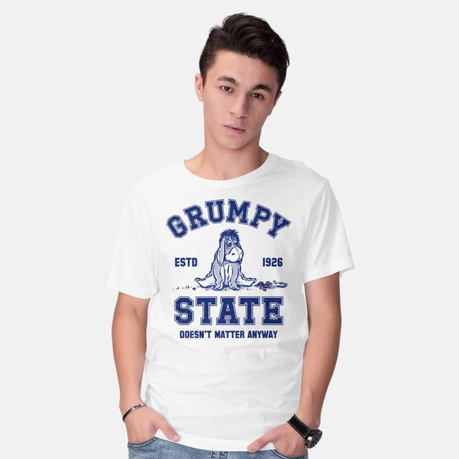 Grumpy State-Mens-Basic-Tee-kg07