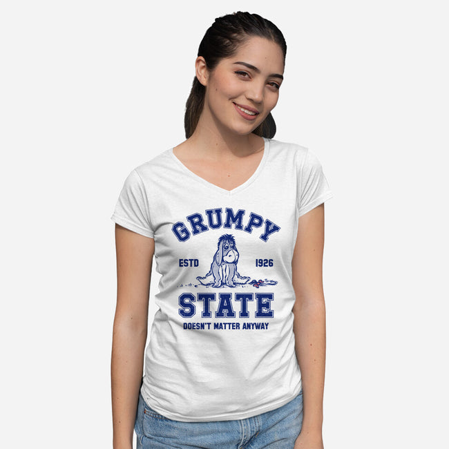 Grumpy State-Womens-V-Neck-Tee-kg07