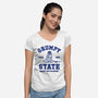 Grumpy State-Womens-V-Neck-Tee-kg07