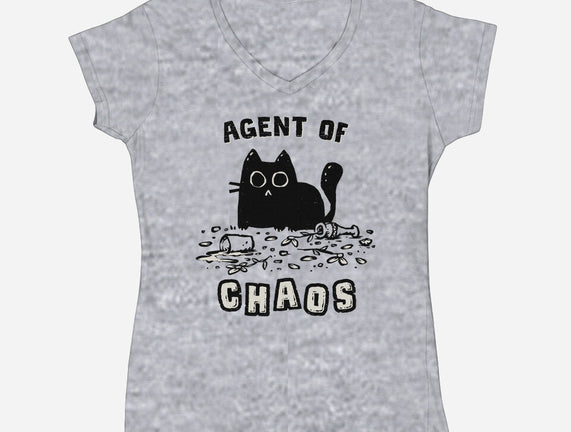 Chaos Cat