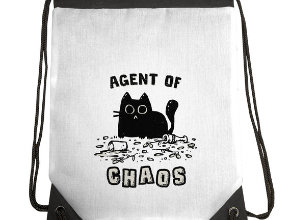 Chaos Cat