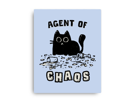 Chaos Cat