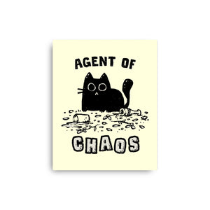 Chaos Cat