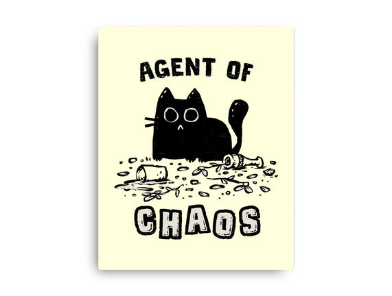 Chaos Cat