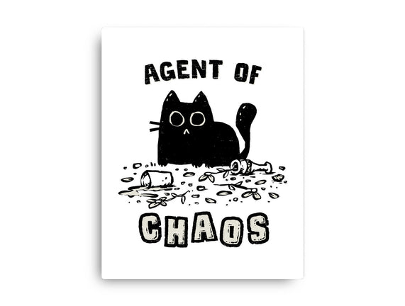 Chaos Cat