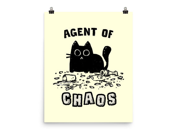 Chaos Cat