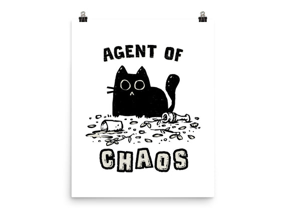 Chaos Cat