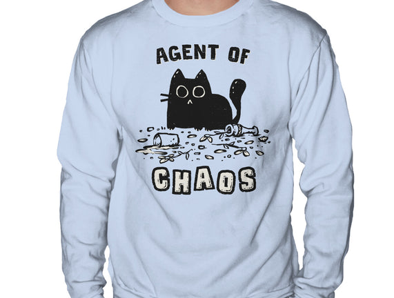 Chaos Cat