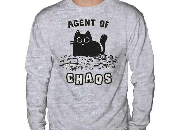 Chaos Cat
