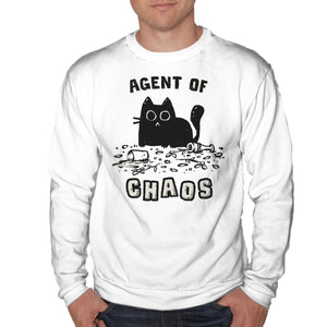 Chaos Cat