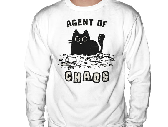 Chaos Cat