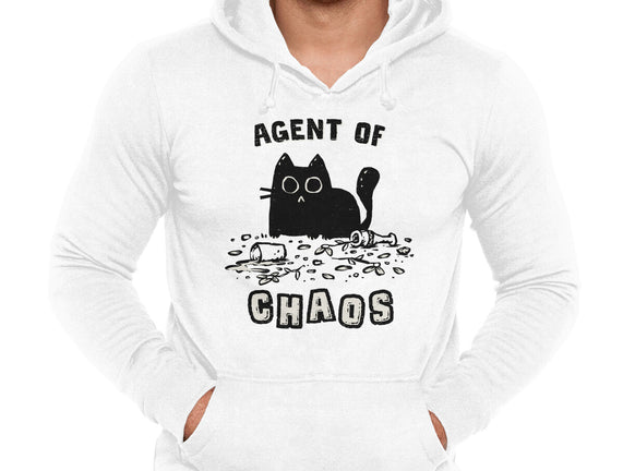 Chaos Cat