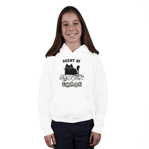 Chaos Cat