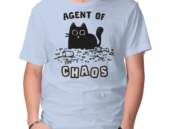 Chaos Cat
